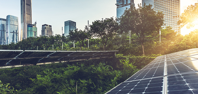 A view of solar panels and a distant cityscape 